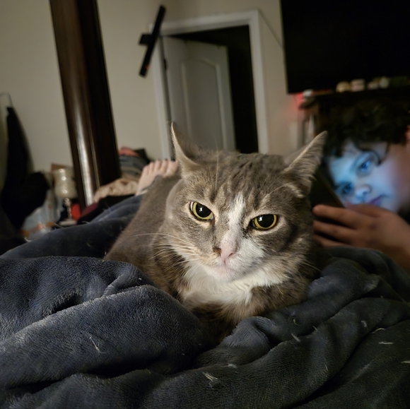 Meet your Posher, Shannon - Picture 9 of 9